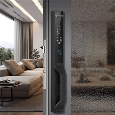 3D Face Fingerprint Smart Lock ສໍາລັບປະຕູເລື່ອນ